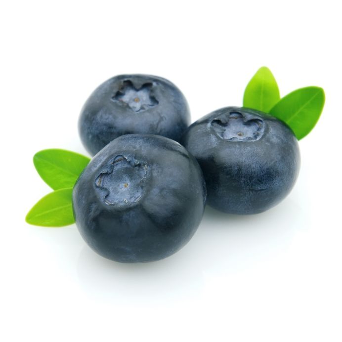 blaabaer-blueberry