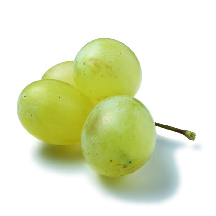 drue-hvid-grape-white