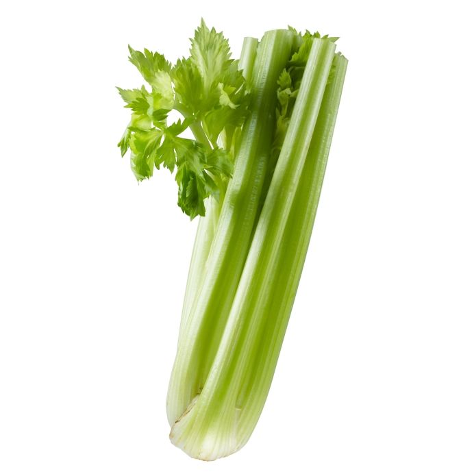 selleri-celery