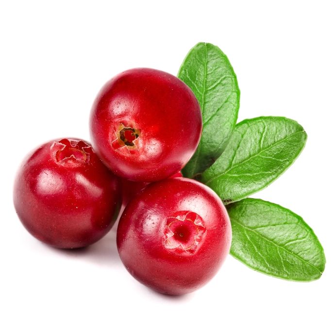 tranebaer-cranberry