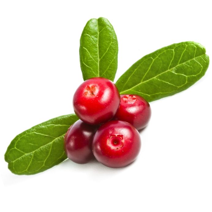 tyttebaer-lingonberry